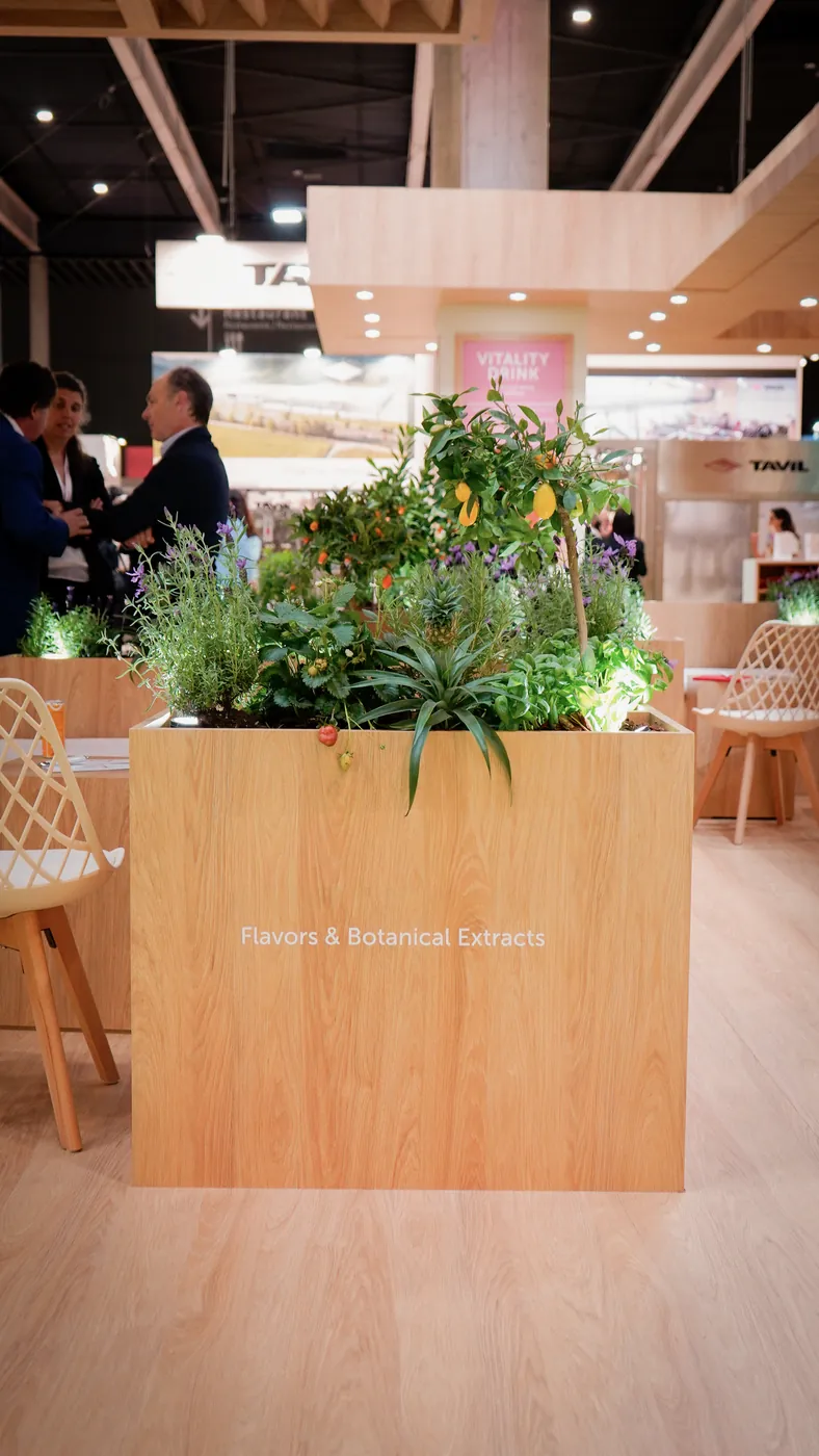 Stand de feria montado por ROCMA — stand con arco de madera y estructura curva